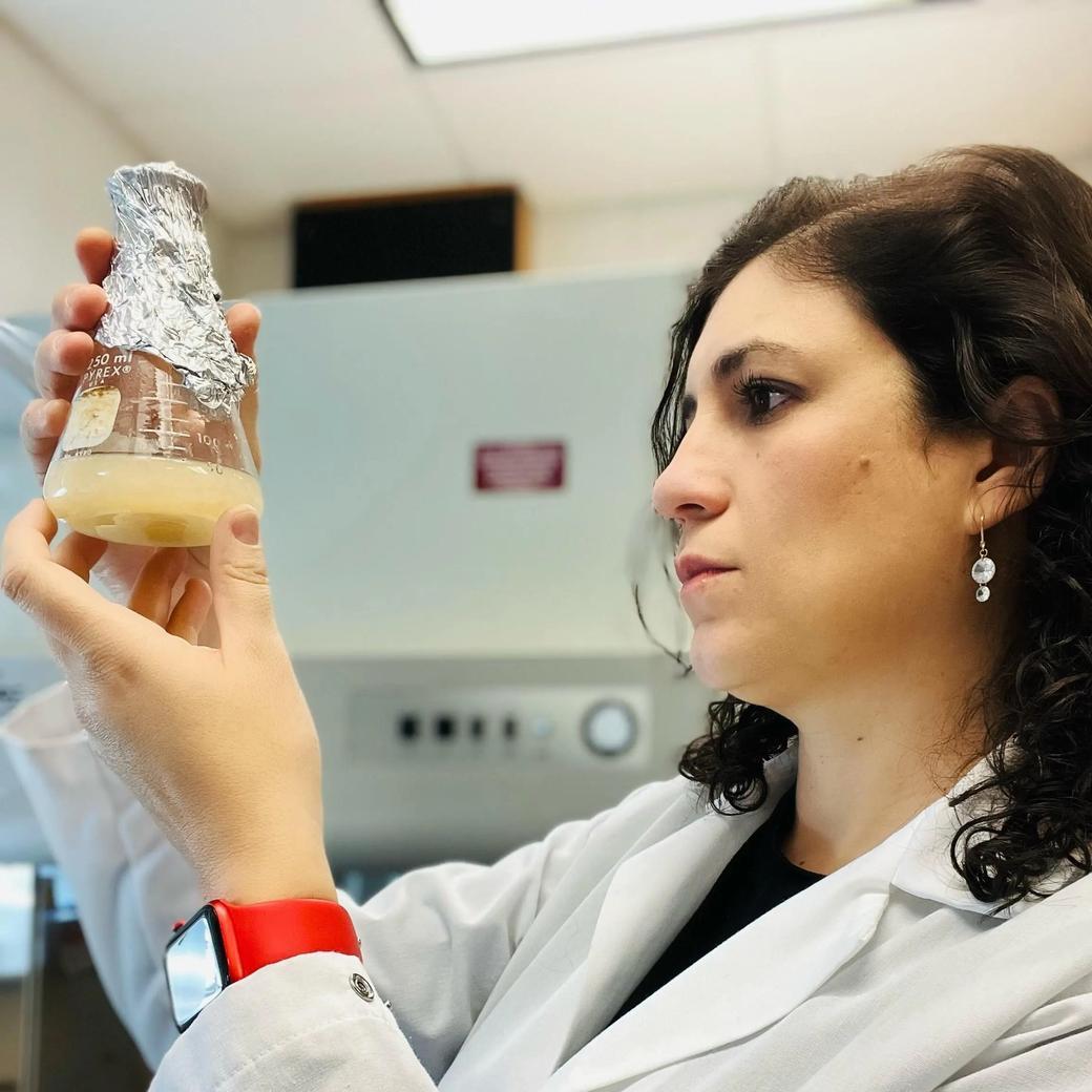 Opracowanie testu DNA, który może wykryć niszczycielskiego grzyba mango