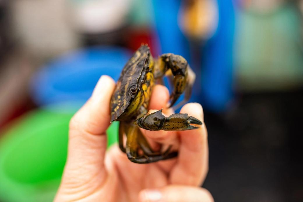 Rosyjska brygada górska przeżywa ciężkie chwile na bezgórskiej południowej Ukrainie