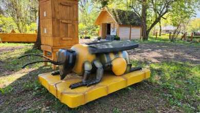 Ekowioska – nowa przestrzeń ekoedukacyjna w Warszawskim Ogrodzie Zoologicznym