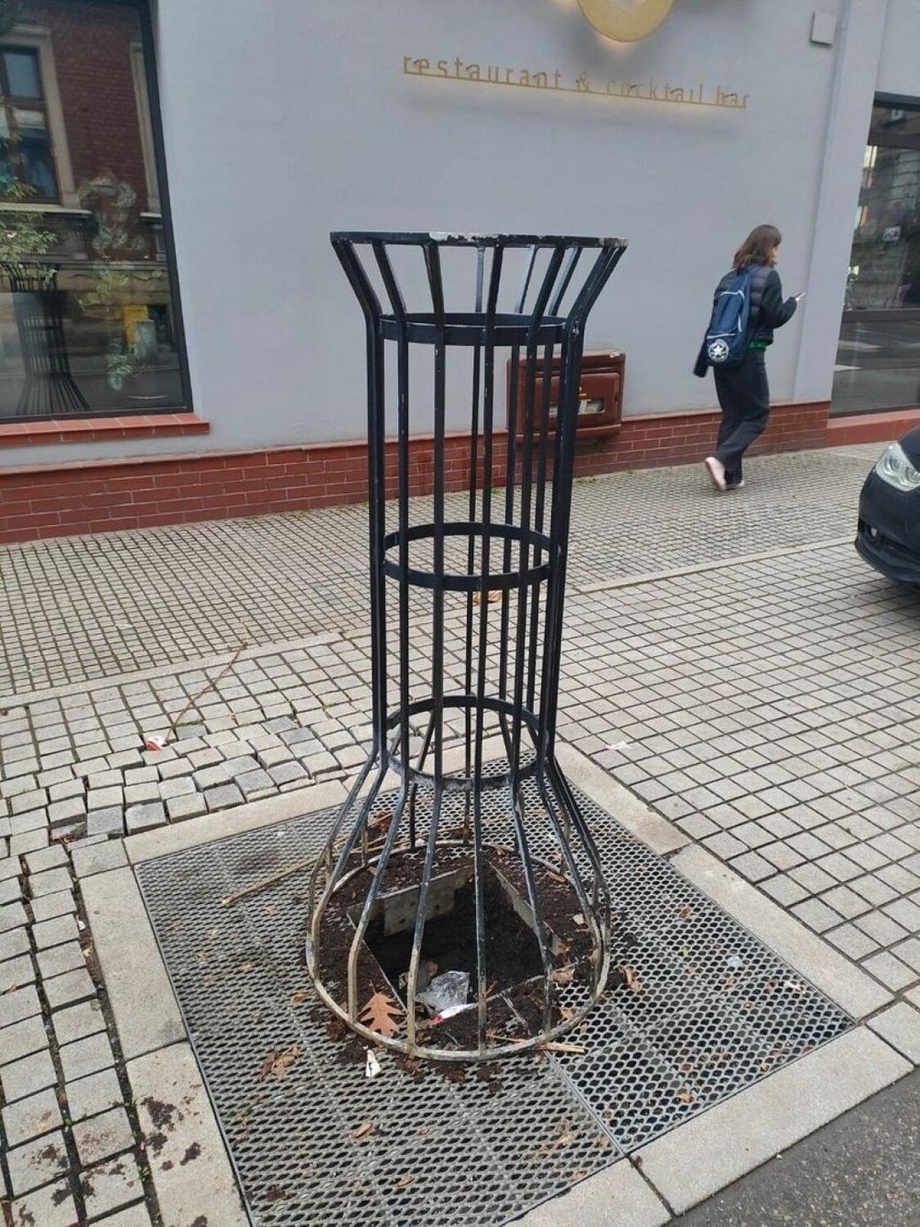 Lipa posadzona w ramach „wCOP Drzew” przy ul.  Starowiejska rosła tam przez 2 tygodnie.  Ktoś to ukradł