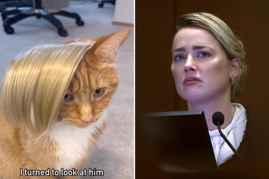 „Demoralizujący i poniżający”: obrzydliwy trend TikTok wyśmiewający bursztyn, który słyszymy, staje się wirusowy