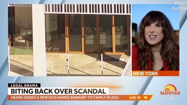 Prezenter telewizyjny twierdzi, że zaginął pies Amber Heard