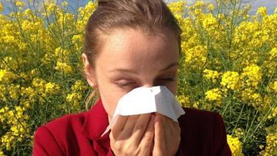 Alergolog Kraków – wizyty w Narodowym Funduszu Zdrowia.  Sprawdź stan na 18 grudnia 2023 r