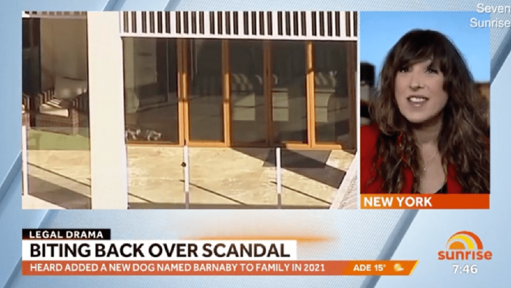 Prezenter telewizyjny twierdzi, że zaginął pies Amber Heard